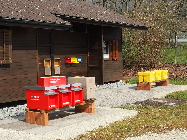 bienen SOLOTHURN - data-verified=